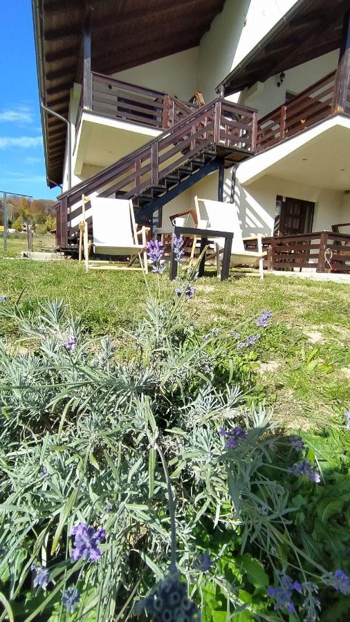 Apartman Draskovic - ゴーツ エクステリア 写真