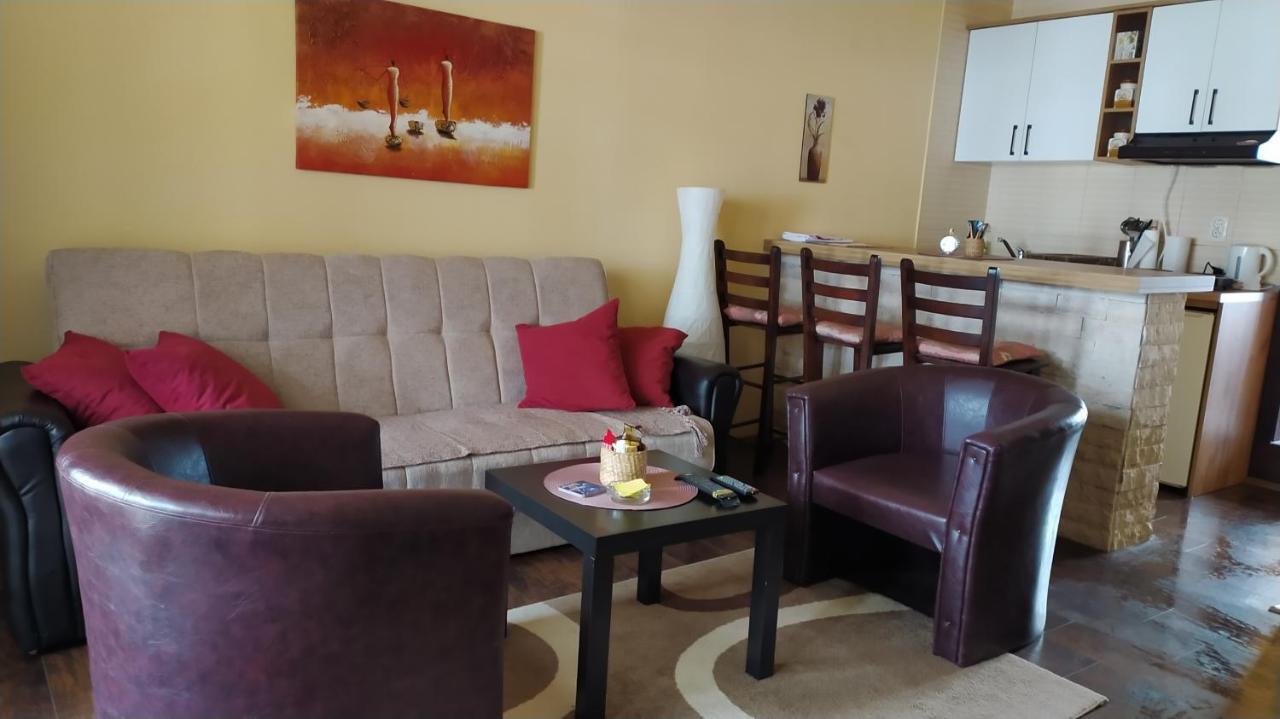 Apartman Draskovic - ゴーツ エクステリア 写真